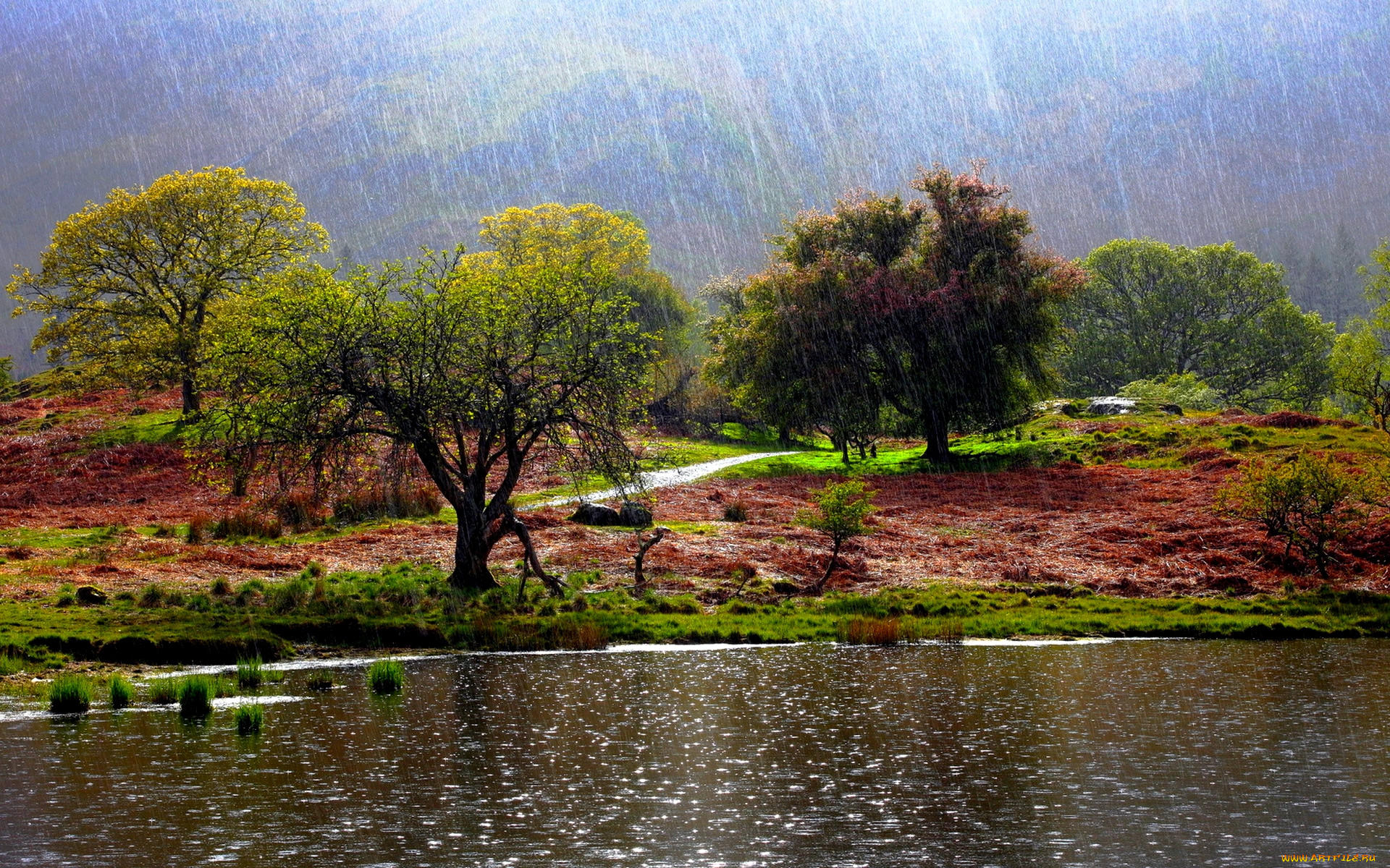 it`s, raining, , , , , , 